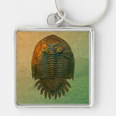 Neometacanthus Fossil Trilobite Sleutelhanger (Voorkant)