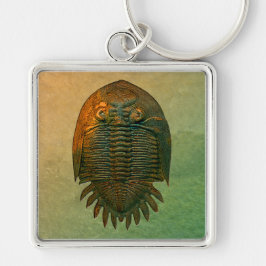 Neometacanthus Fossil Trilobite Sleutelhanger