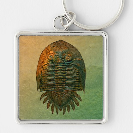 Neometacanthus Fossil Trilobite Sleutelhanger (Voorkant)