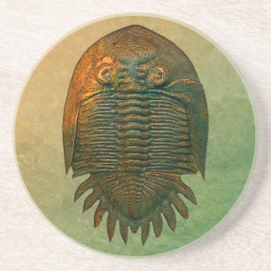 Neometacanthus Fossil Trilobite Zandsteen Onderzetter