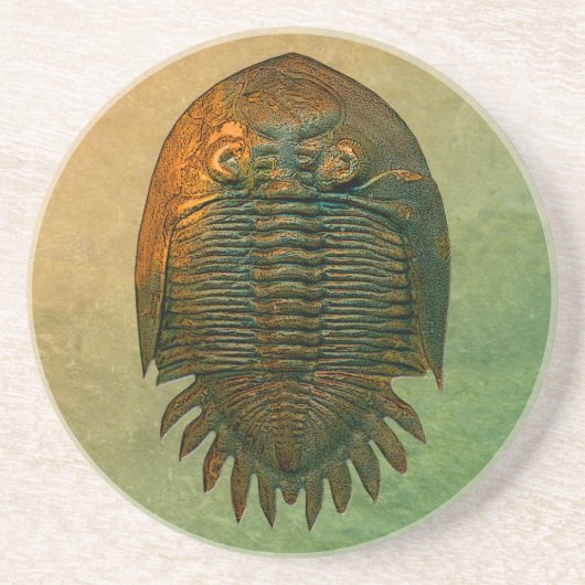 Neometacanthus Fossil Trilobite Zandsteen Onderzetter (Voorkant)