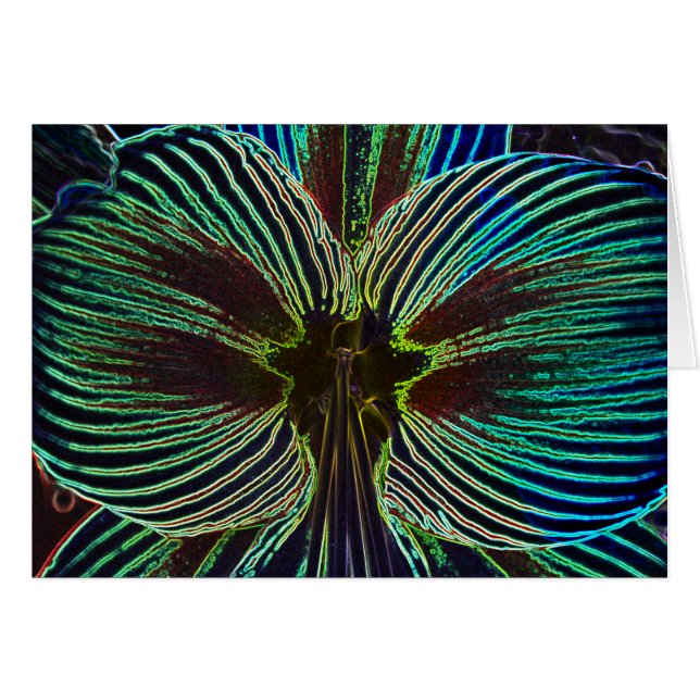 Neon Amaryllis (Voorkant Horizontaal)