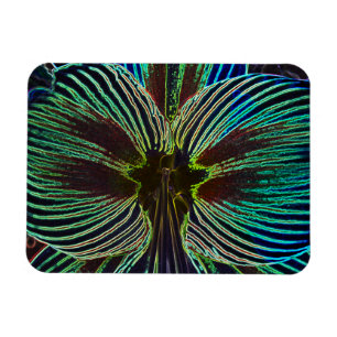 Neon Amaryllis Magneet