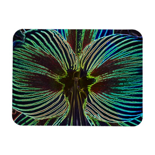 Neon Amaryllis Magneet (Horizontaal)