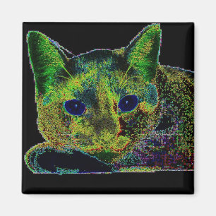 Neon Blue Eyed Cat Magneet