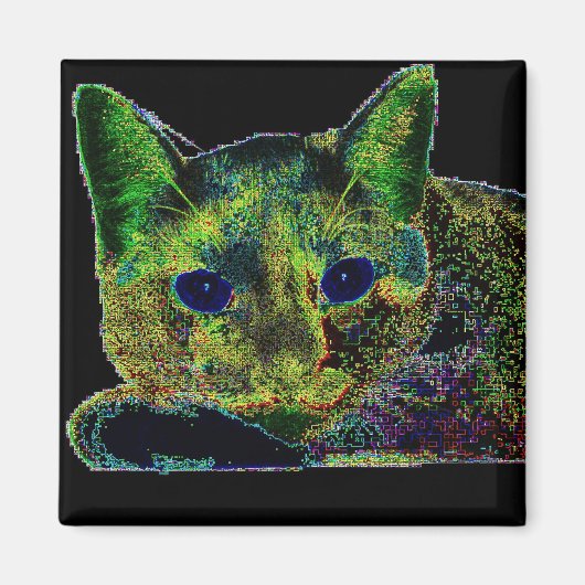 Neon Blue Eyed Cat Magneet (Voorkant)