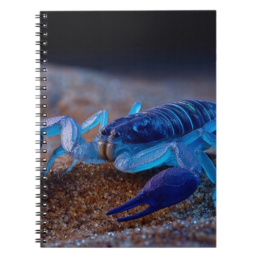 Neon Blue Scorpion Notitieboek (Voorkant)