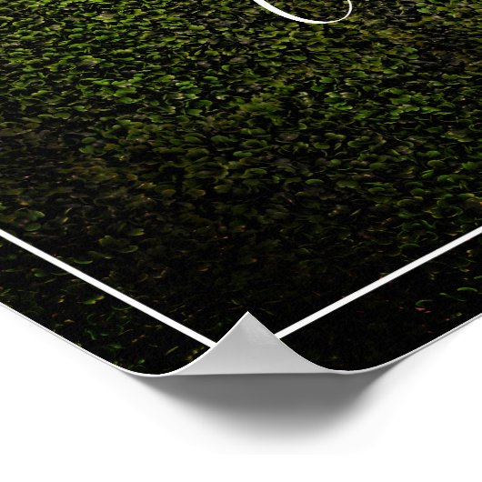 Neon Boxwood Weddenschap Welkom Poster (Hoek)