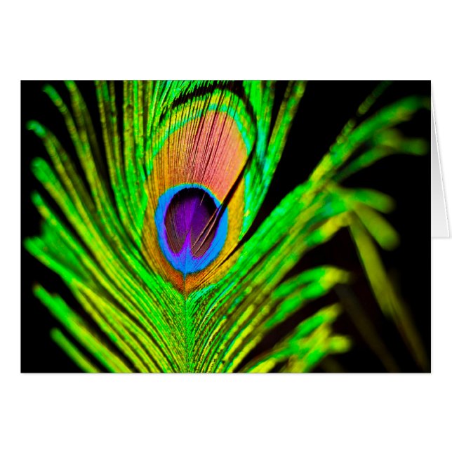 Neon Colors Peacock Feather (Voorkant Horizontaal)