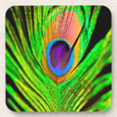 Neon Colors Peacock Feather Bier Onderzetter (Voorkant)