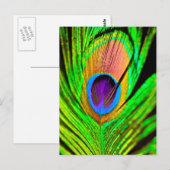 Neon Colors Peacock Feather Briefkaart (Voorkant / Achterkant)
