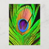 Neon Colors Peacock Feather Briefkaart (Voorkant)
