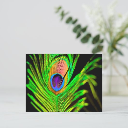 Neon Colors Peacock Feather Briefkaart (Staand voorkant)