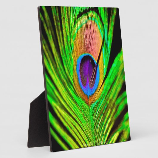 Neon Colors Peacock Feather Fotoplaat (Zijkant)