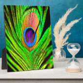 Neon Colors Peacock Feather Fotoplaat (Zijkant)