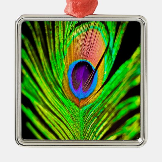 Neon Colors Peacock Feather Metalen Ornament (Voorkant)