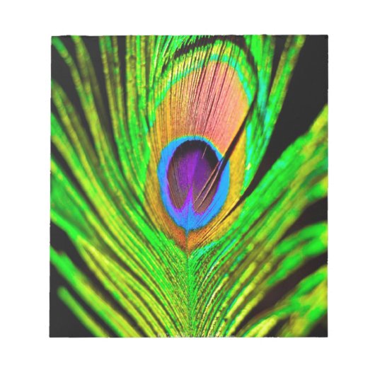Neon Colors Peacock Feather Notitieblok (Voorkant)