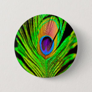 Neon Colors Peacock Feather Ronde Button 5,7 Cm
