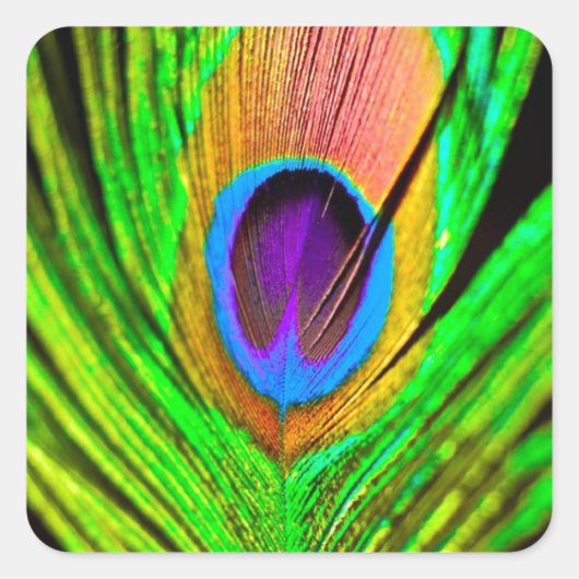 Neon Colors Peacock Feather Vierkante Sticker (Voorkant)