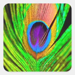 Neon Colors Peacock Feather Vierkante Sticker