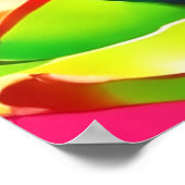 Neon Dragon Fruit Splendor Poster (Hoek)