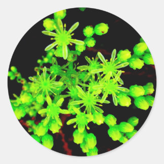 Neon Flower Ronde Sticker