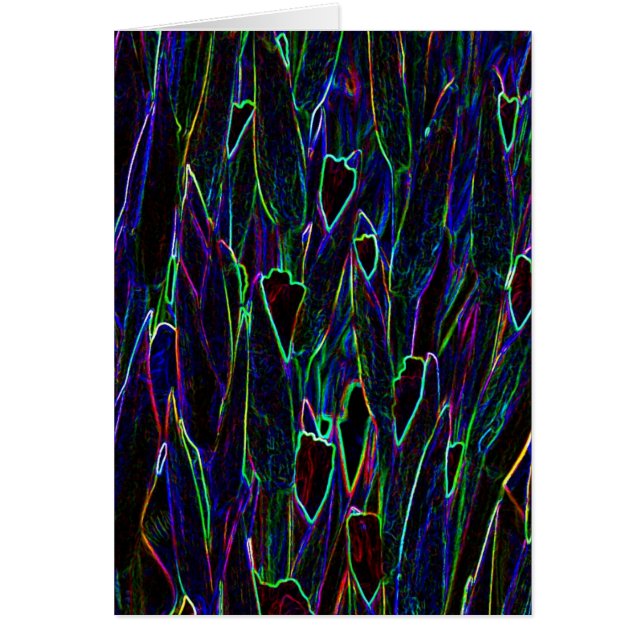 Neon Garden 3 (Voorkant)