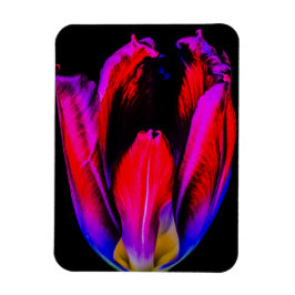 Neon Glow Tulp Magneet