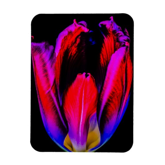 Neon Glow Tulp Magneet (Verticaal)