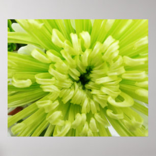 Neon Green Flower Football Mum Sluiten Achtergrond Poster