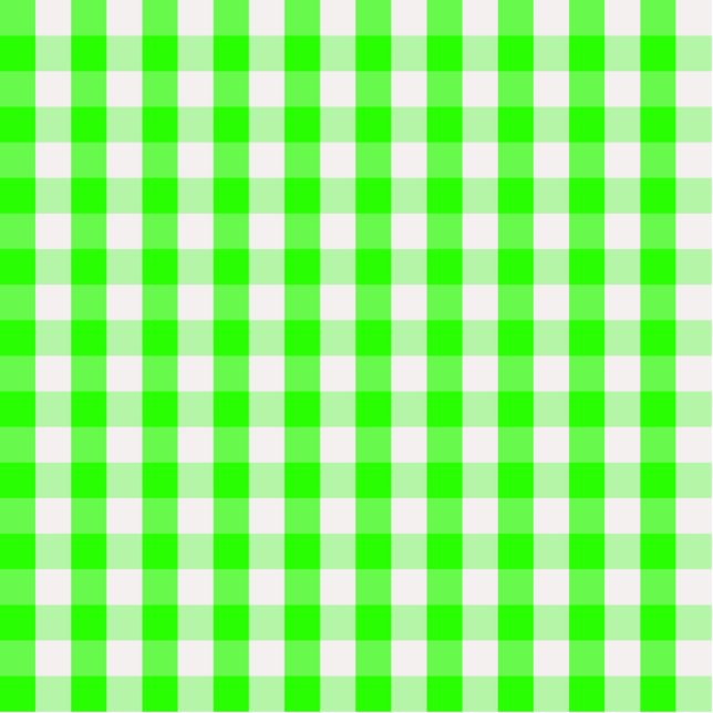 Neon Green Gingham Pattern van Shirley Taylor Fotobeeldje Sleutelhanger (Voorkant)