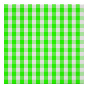Neon Green Gingham Pattern van Shirley Taylor Poster