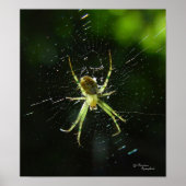 Neon Green Spider Poster (Voorkant)