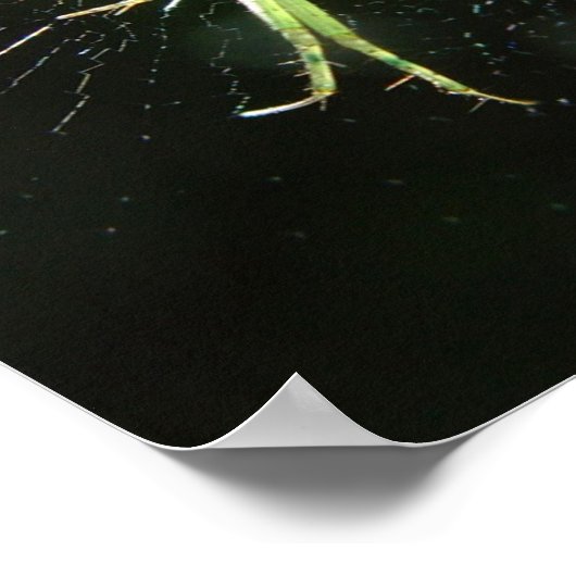 Neon Green Spider Poster (Hoek)