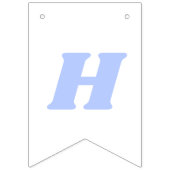 Neon Groovy Disco Ball Vlaggetjes (Tweede vlag)