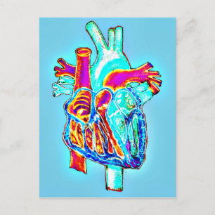 Neon Hand Drawn Anatomical Heart Briefkaart