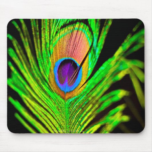 Neon Kleuren Pauwveer Muismat (Voorkant)