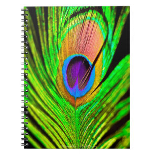 Neon Kleuren Pauwveer Notitieboek
