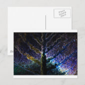 Neon Leaf Briefkaart (Voorkant / Achterkant)