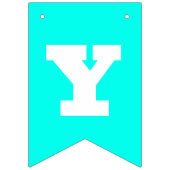 Neon Magenta en Turquoise Effen Kleur | Op Maat Vlaggetjes (Tweede vlag)