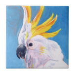 Neon Mohawk - Cockato Tegeltje<br><div class="desc">Neon Mohawk I van Jennifer Paxton Parker. Een tropische cockatoo maakt een neonkleurige mohawk. | 162732Z</div>