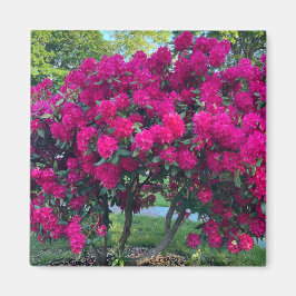 Neon Natuur Magneet