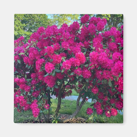 Neon Natuur Magneet (Voorkant)