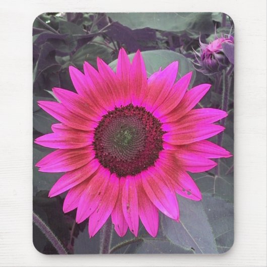 Neon Pink Sunflower Mousepad Muismat (Voorkant)