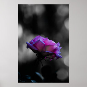Neon Roze Roos op Zwarte en Witte Bokeh Poster