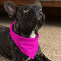 Neon Roze Solid Color past deze aan
