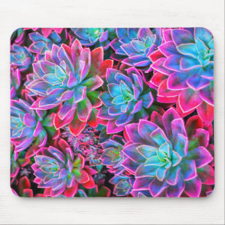 Neon roze vetplant muismat