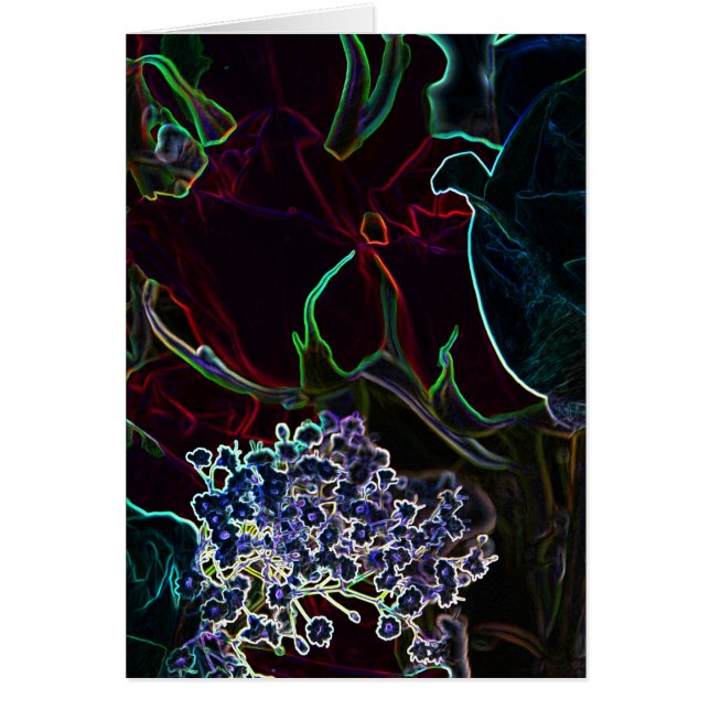 Neon Rozen collectie (Voorkant)