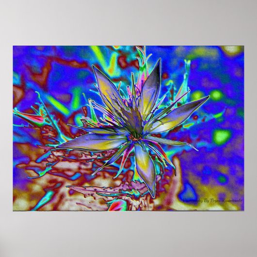 Neon Star Poster (Voorkant)