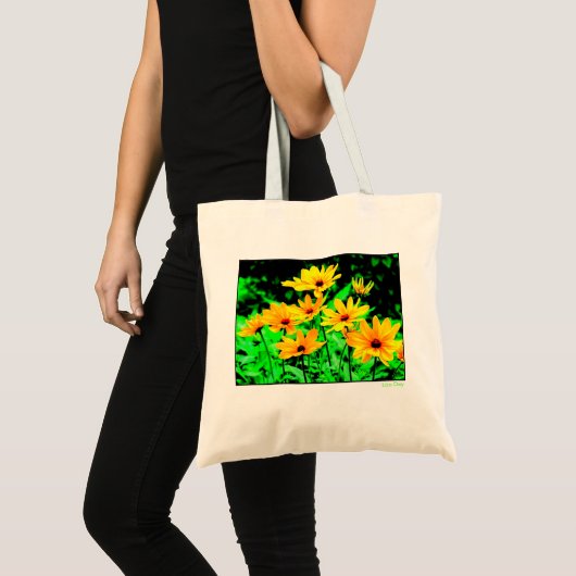 'Neon Susans' Budget Canvas Tas (Voorkant (product))